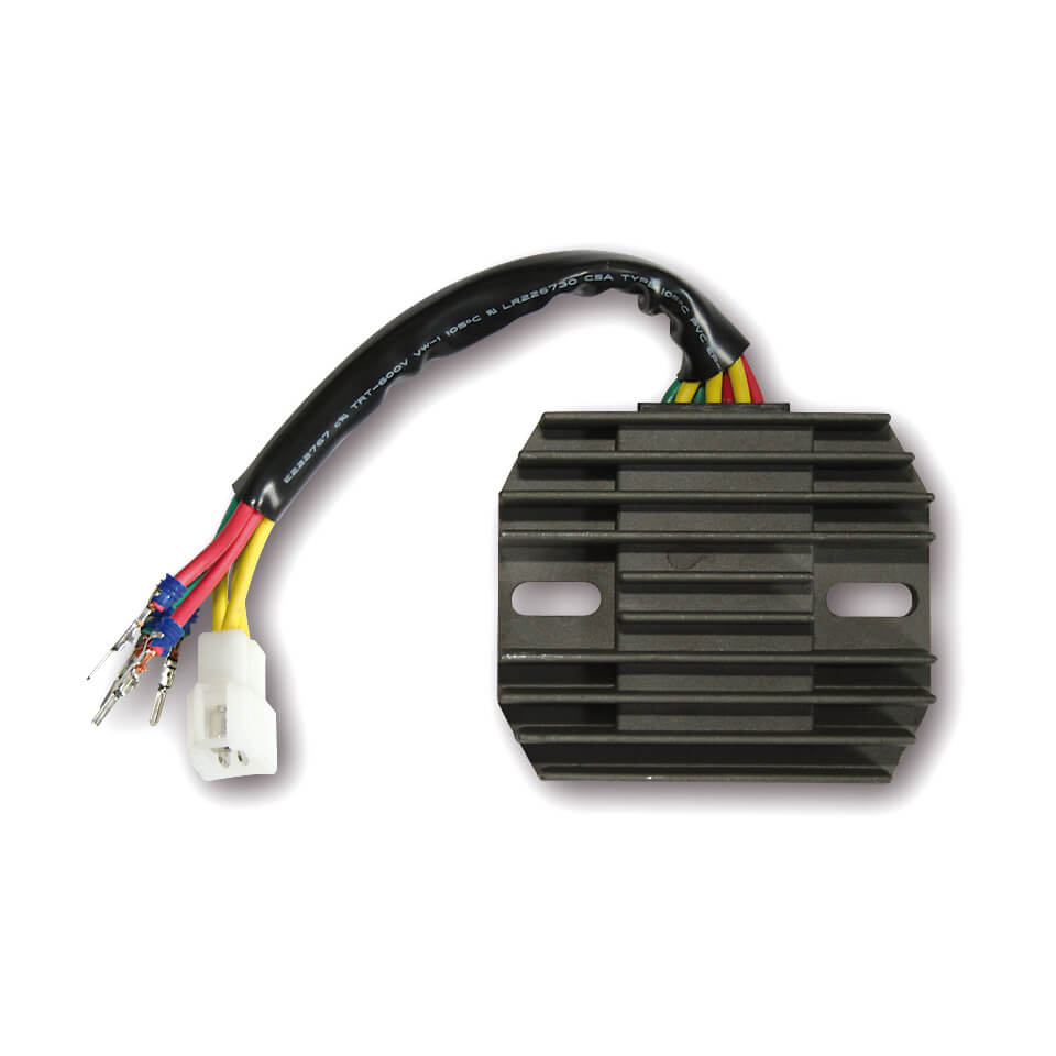 electrosport Charge controller ESR 555